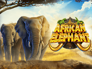 African Elephant thumbnail