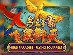 Fish Hunter _ Bird Hunter thumbnail